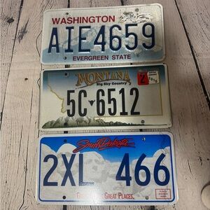 Set of Three Different States License Plates-WA, SD, MT for art & craft, hanging